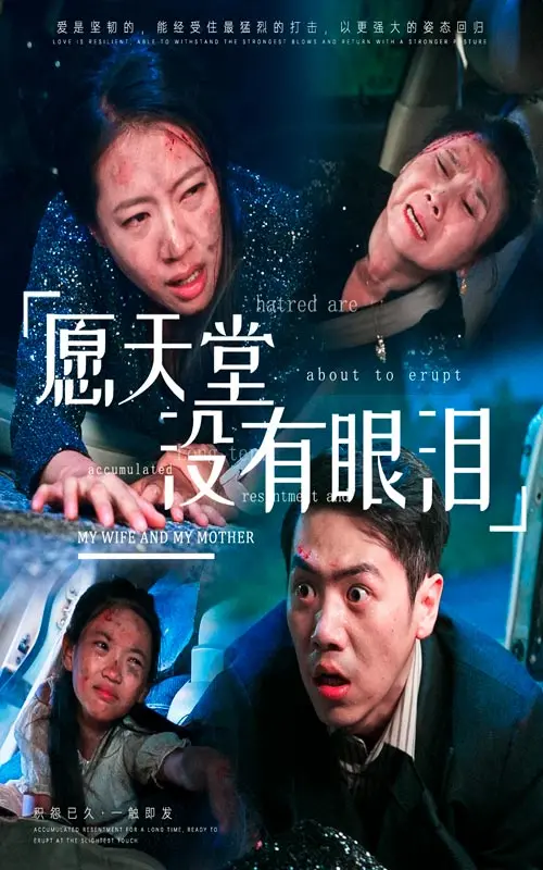 《愿天堂没有眼泪》：一部催人泪下的情感巨作，关于爱与失去的深刻反思