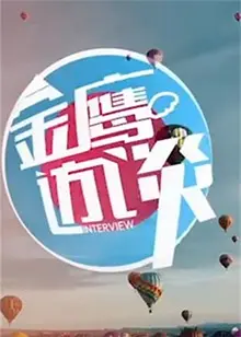 金鹰访谈2014：揭秘那些年我们追过的偶像，星光熠熠的背后故事与独特魅力