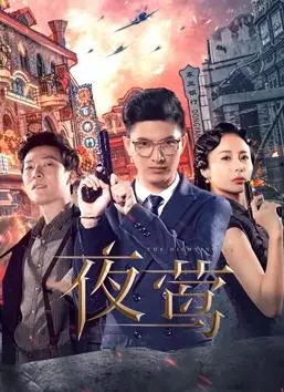 《夜莺[电视剧版]》：在命运的低语中寻找救赎，一部触动灵魂的温情史诗